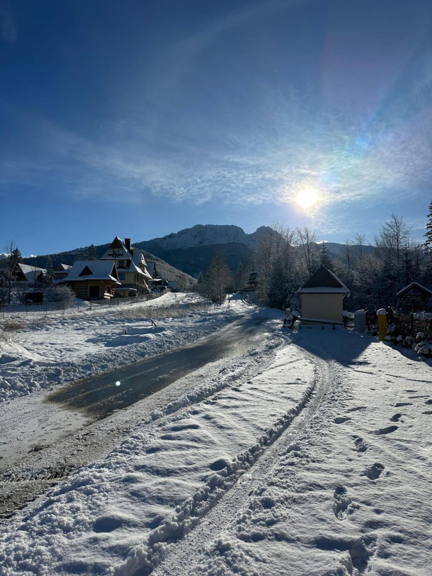 Apartamenty Willa Nika Zakopane Dış mekan fotoğraf