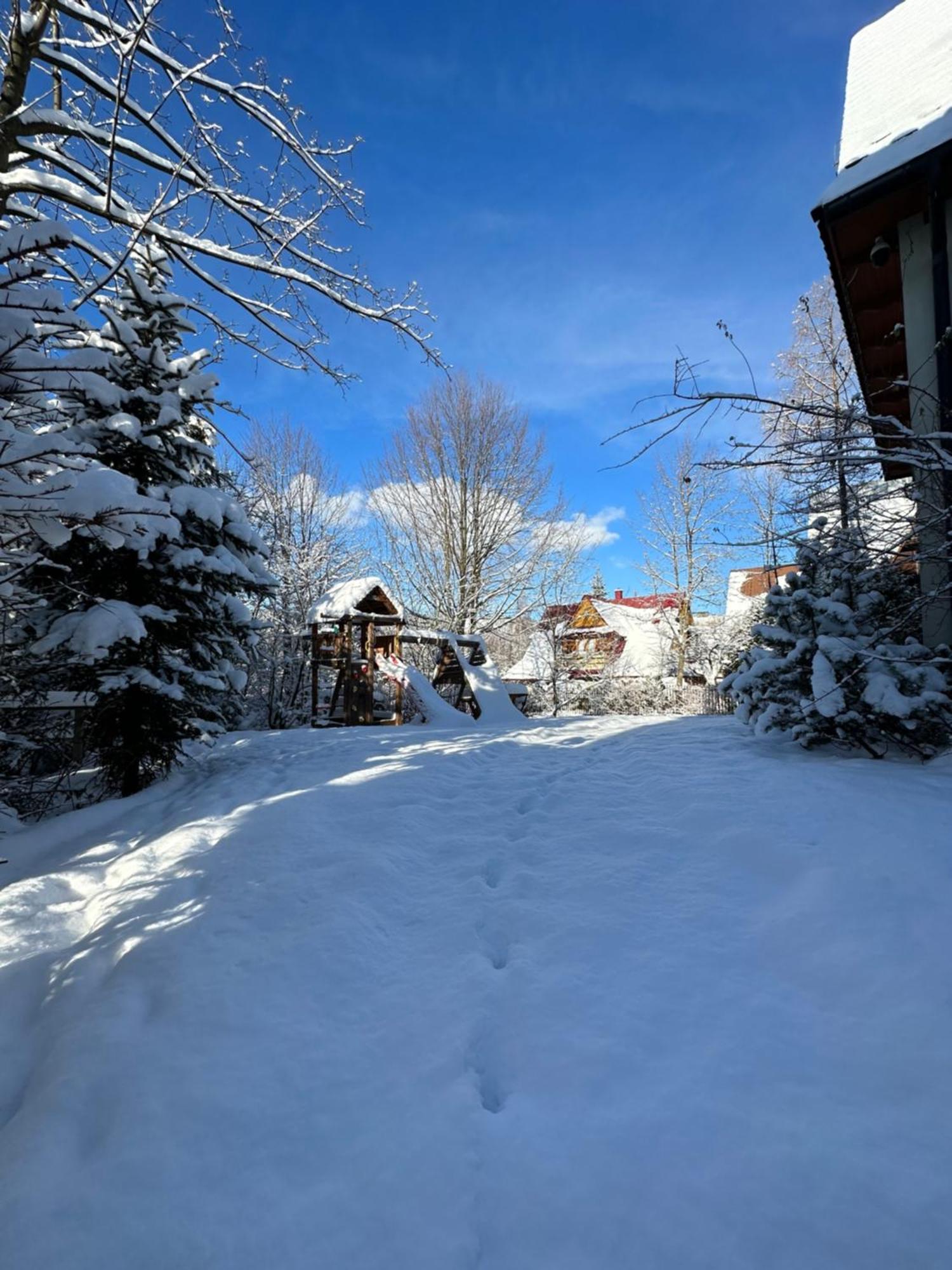 Apartamenty Willa Nika Zakopane Dış mekan fotoğraf