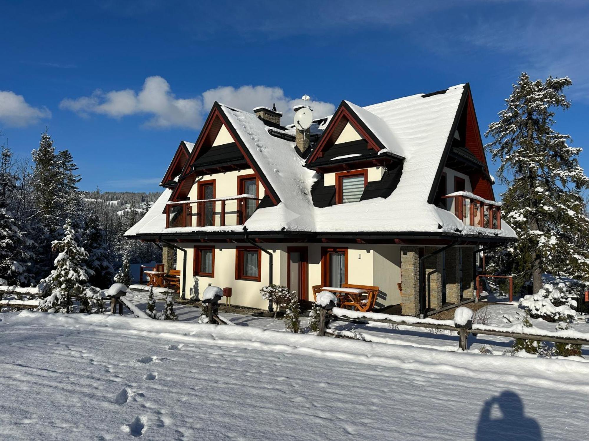 Apartamenty Willa Nika Zakopane Dış mekan fotoğraf
