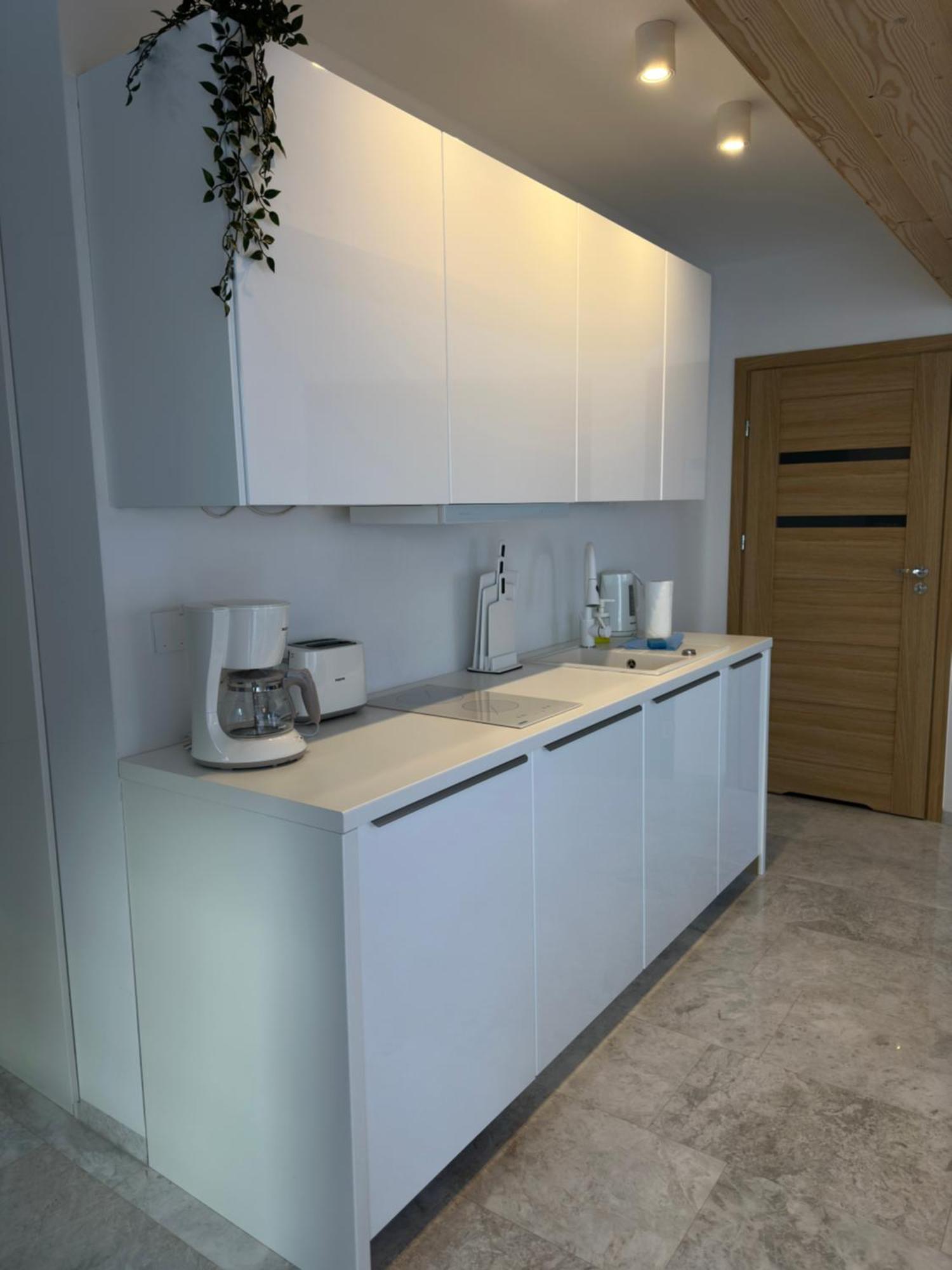Apartamenty Willa Nika Zakopane Dış mekan fotoğraf
