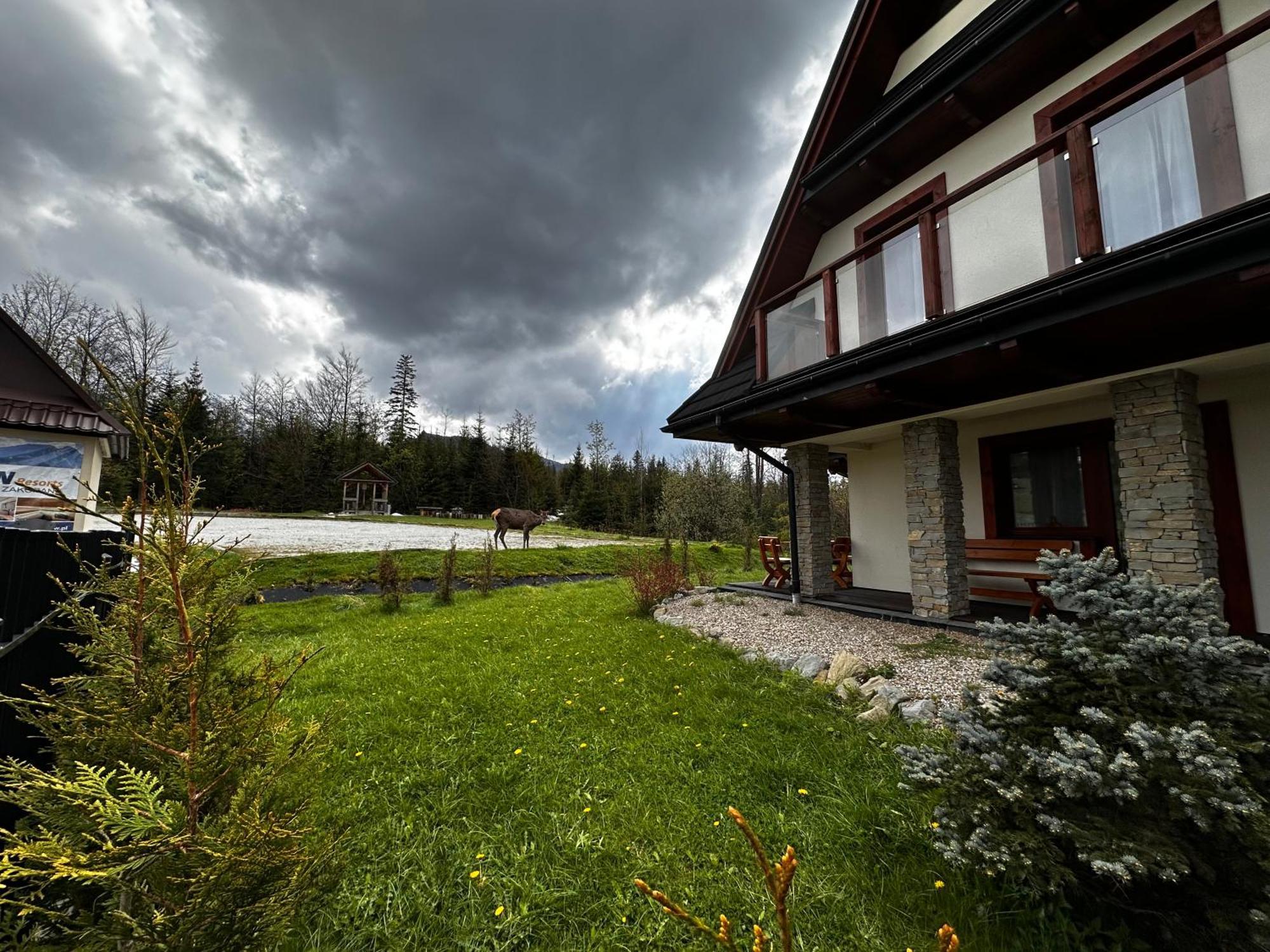 Apartamenty Willa Nika Zakopane Dış mekan fotoğraf
