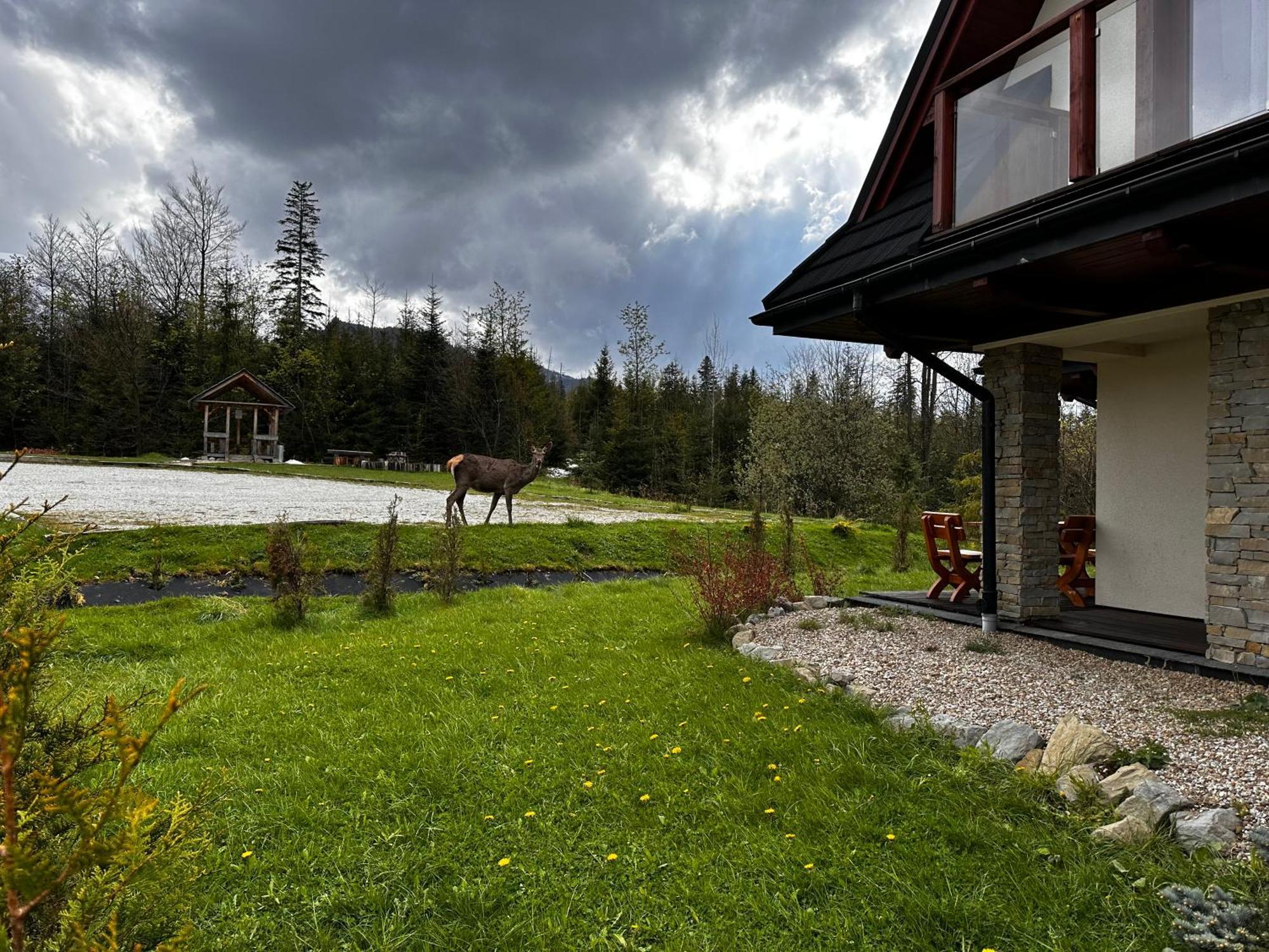 Apartamenty Willa Nika Zakopane Dış mekan fotoğraf